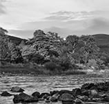 whiskies-ecosse-cask-speyside.jpg