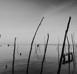 pyla-paysage-2.jpg