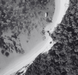 Miniature (2).png