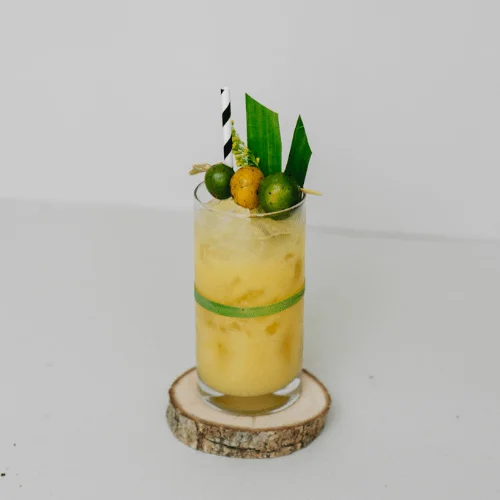Cocktail (4).png