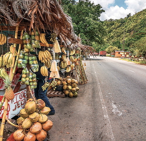 distillerie-rum-bar-paysage-route.jpg